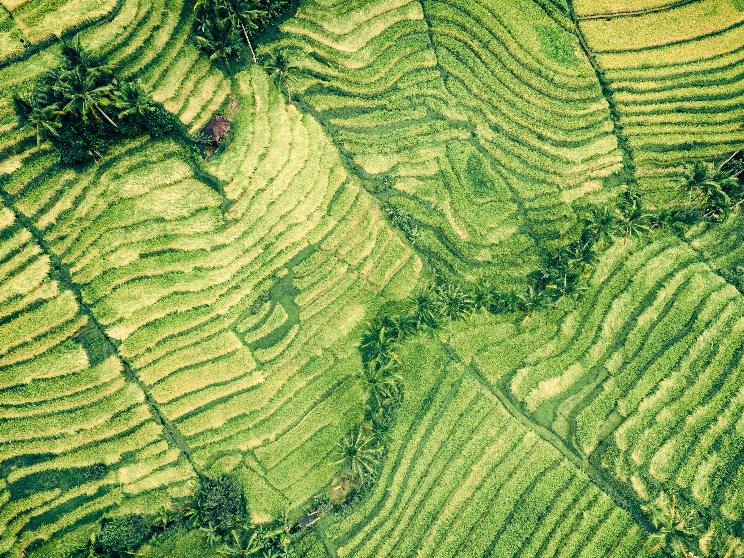 Embedding carbon removal across society